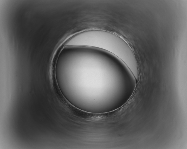 X0000099450152200805090734