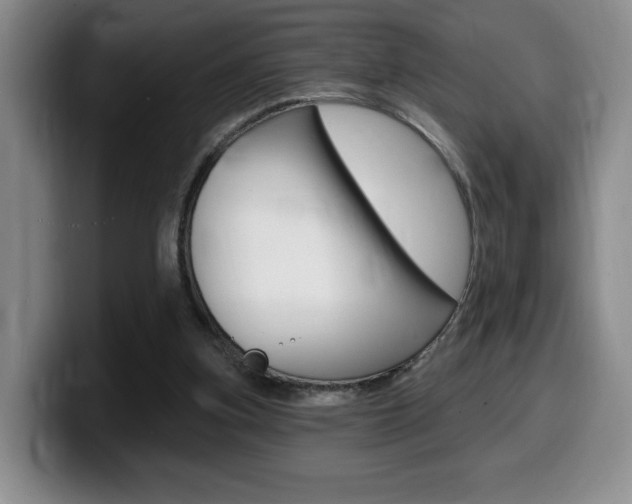 X0000099450155200805090734