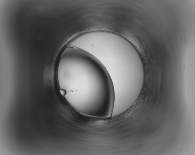X0000099450156200805090734