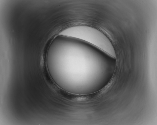 X0000099450158200805090734