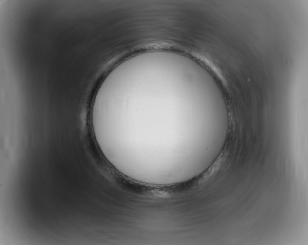 X0000099450159200805090734