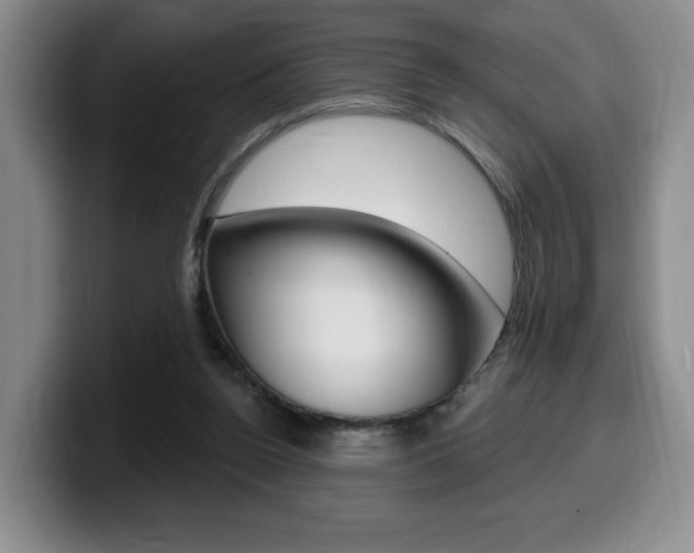 X0000099450160200805090734
