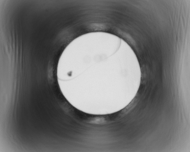 X0000099450162200805090734