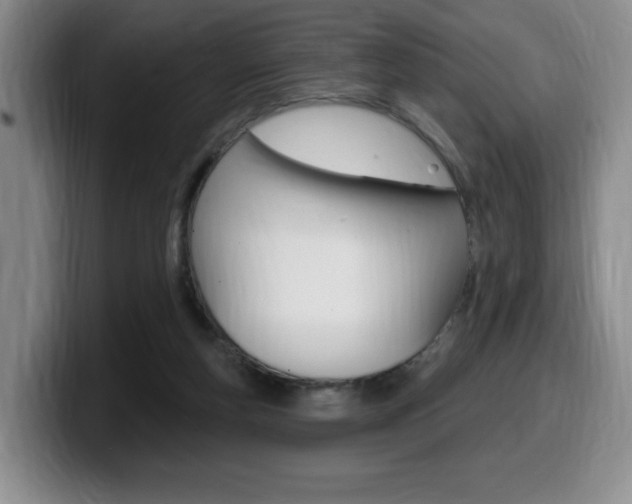 X0000099450163200805090734