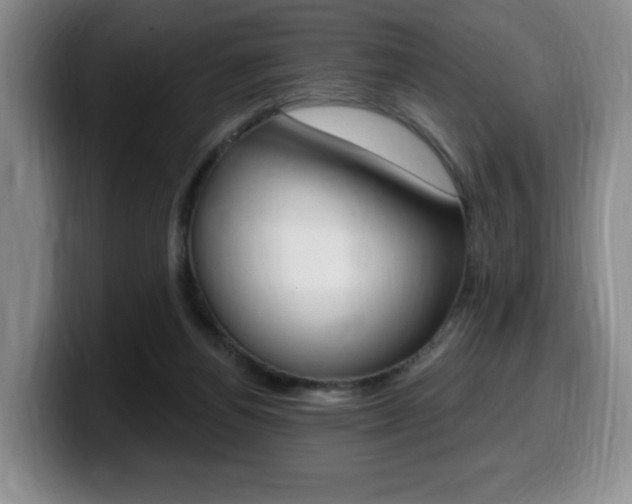 X0000099450164200805090734