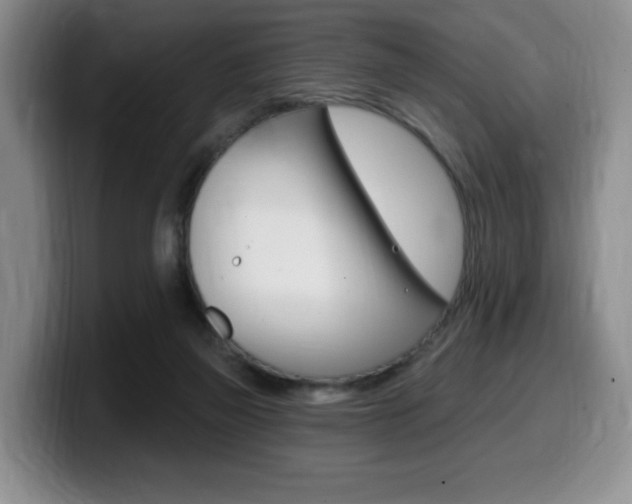 X0000099450165200805090734