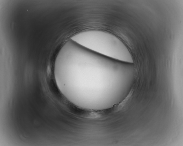 X0000099450166200805090734