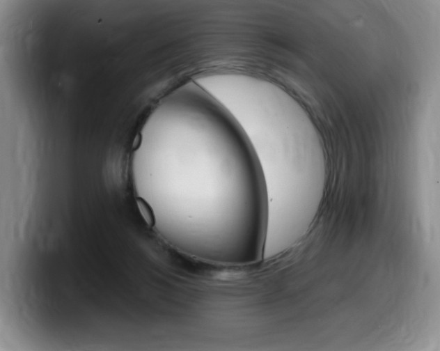 X0000099450168200805090734