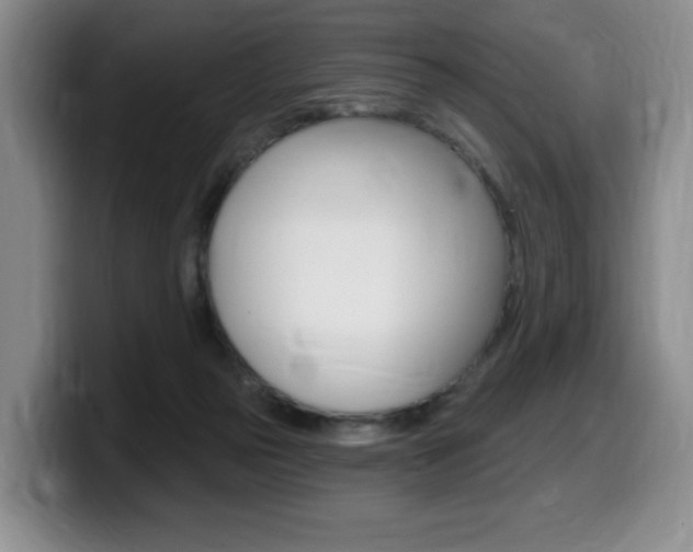 X0000099450169200805090734