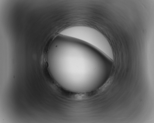 X0000099450172200805090734