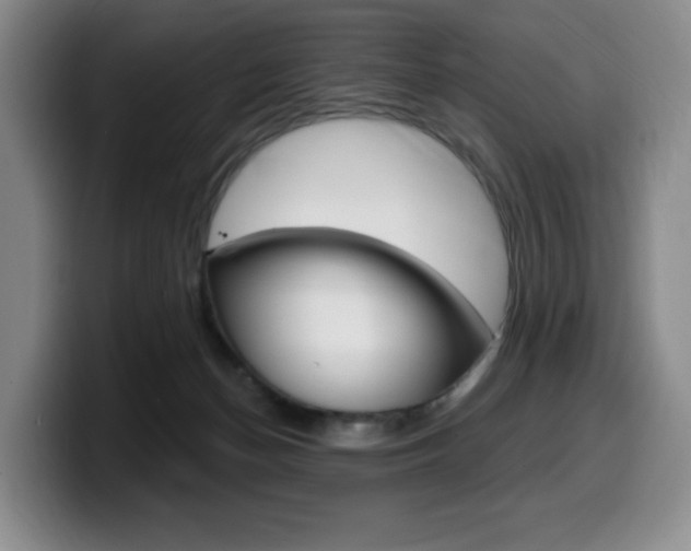 X0000099450174200805090734