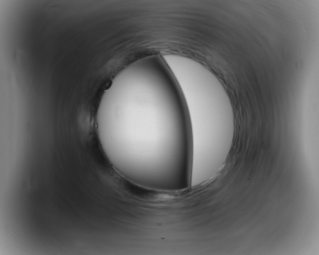 X0000099450176200805090734