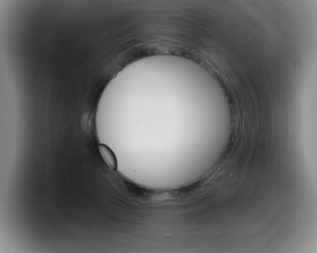 X0000099450177200805090734