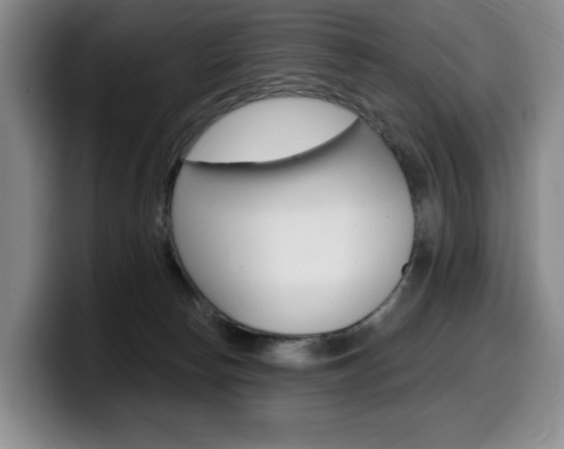 X0000099450178200805090734