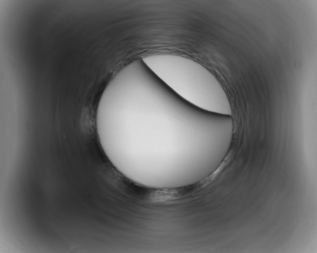 X0000099450179200805090735