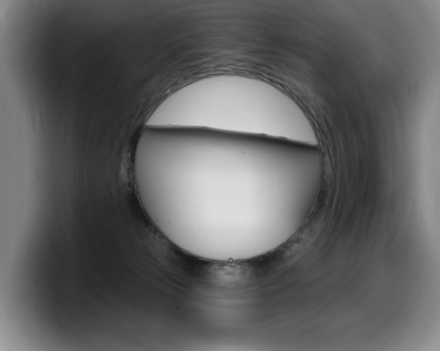 X0000099450181200805090735