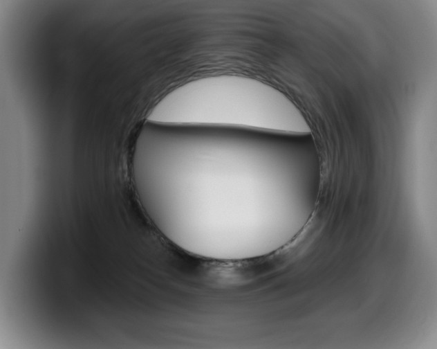 X0000099450182200805090735