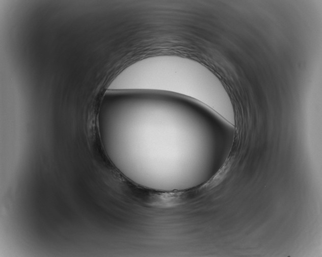 X0000099450184200805090735