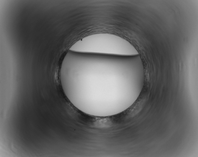 X0000099450185200805090735