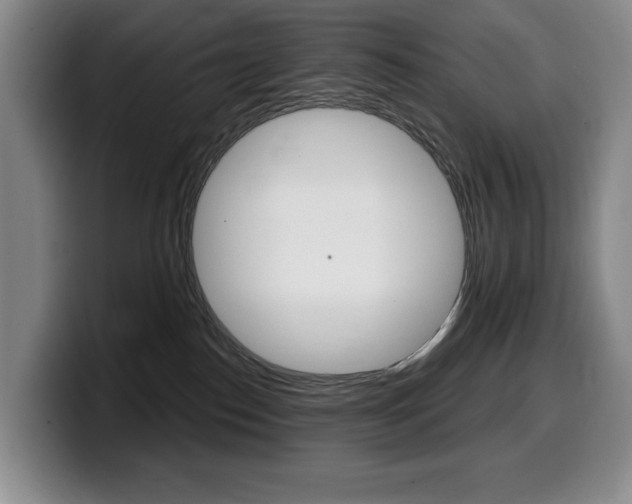 X0000099450186200805090735