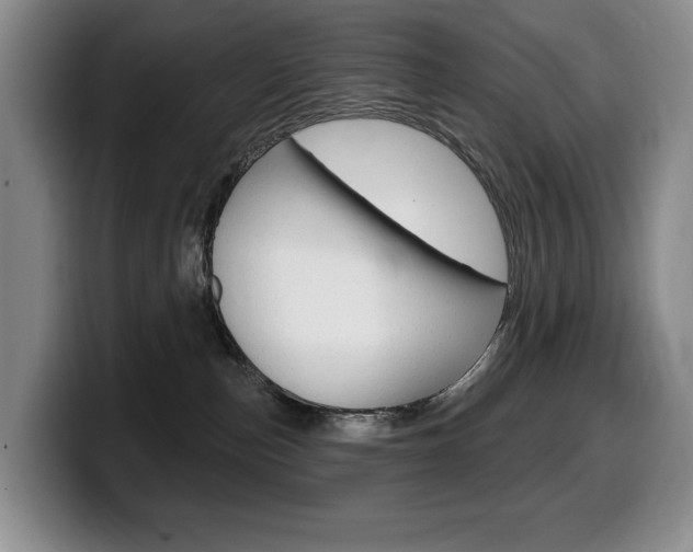 X0000099450187200805090735