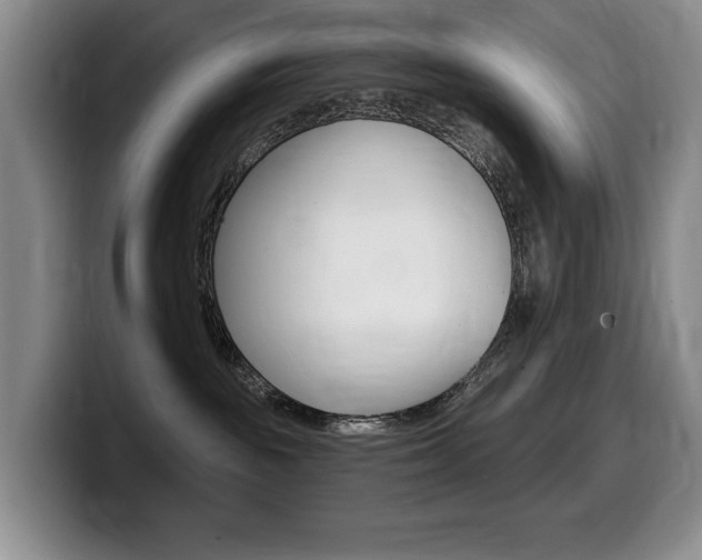X0000099450189200805090735