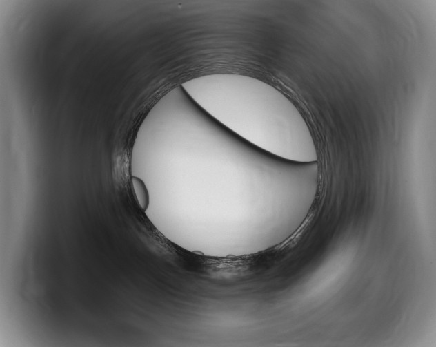 X0000099450191200805090735