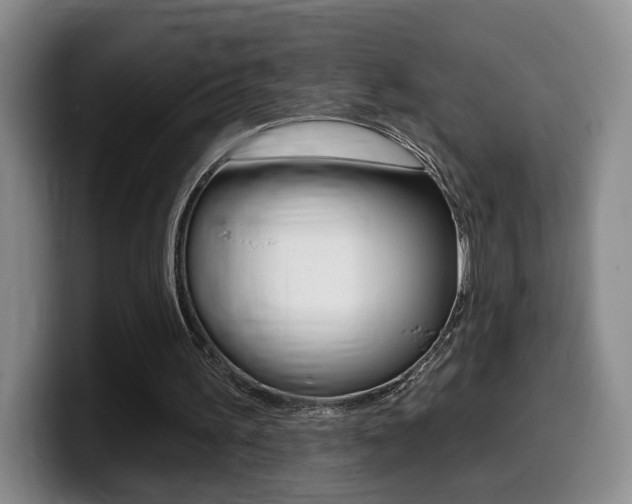 X0000099450195200805090734