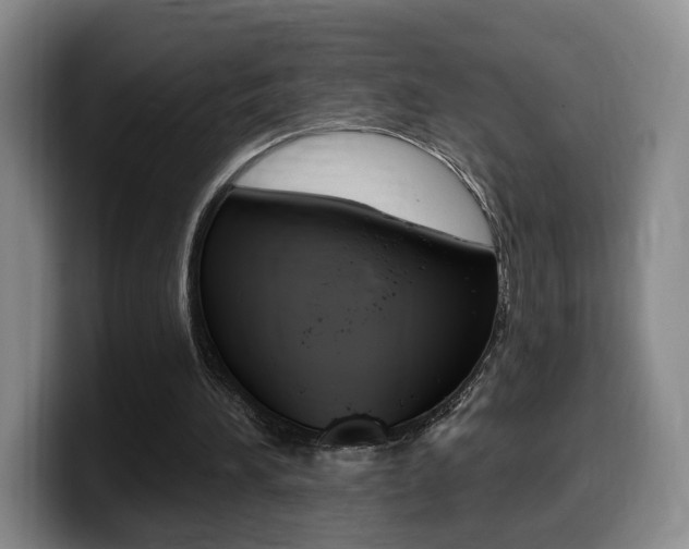 X0000099450196200805090734