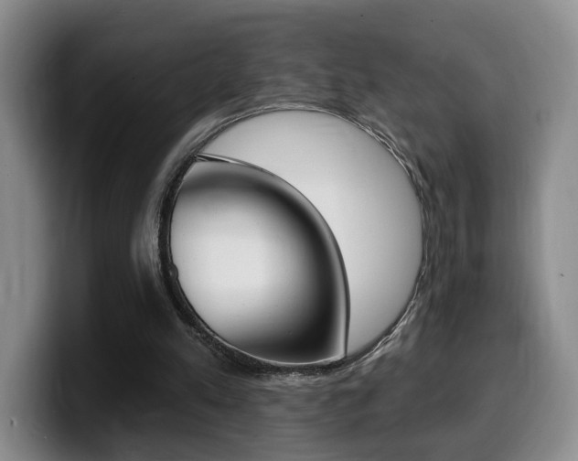 X0000099450197200805090734