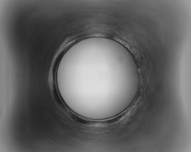 X0000099450198200805090734