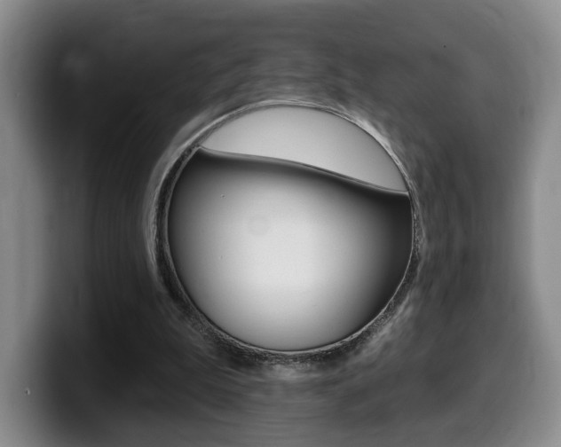 X0000099450199200805090734