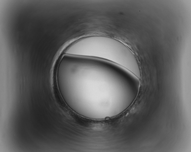 X0000099450200200805090734