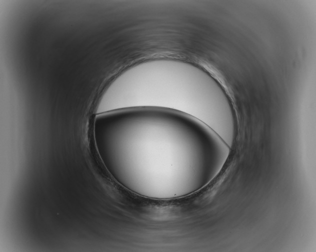 X0000099450201200805090734