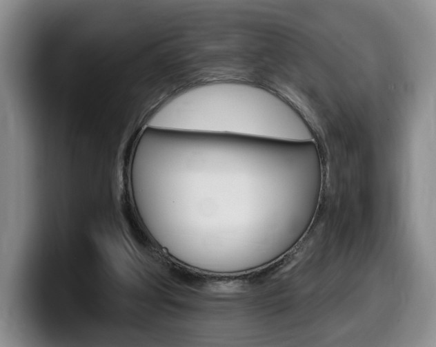 X0000099450202200805090734
