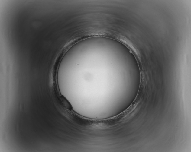 X0000099450203200805090734