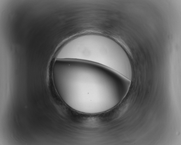 X0000099450204200805090734