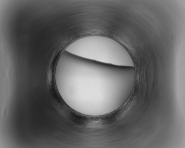 X0000099450206200805090734