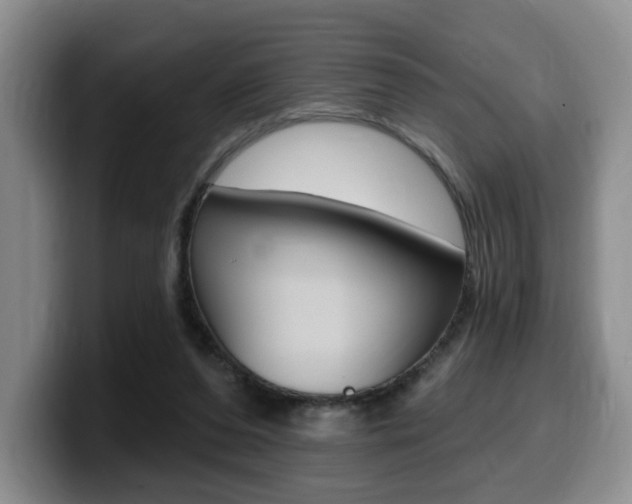 X0000099450208200805090734