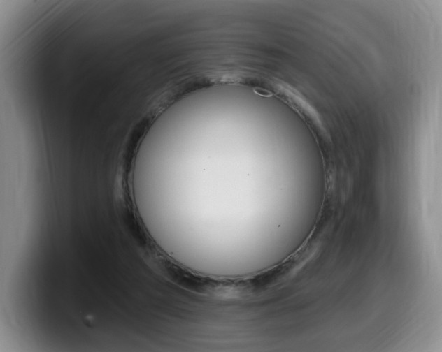 X0000099450209200805090734