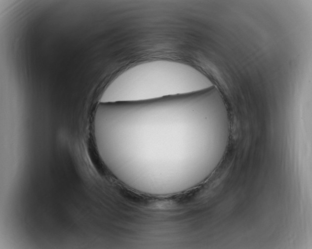 X0000099450210200805090734