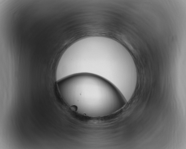 X0000099450211200805090734