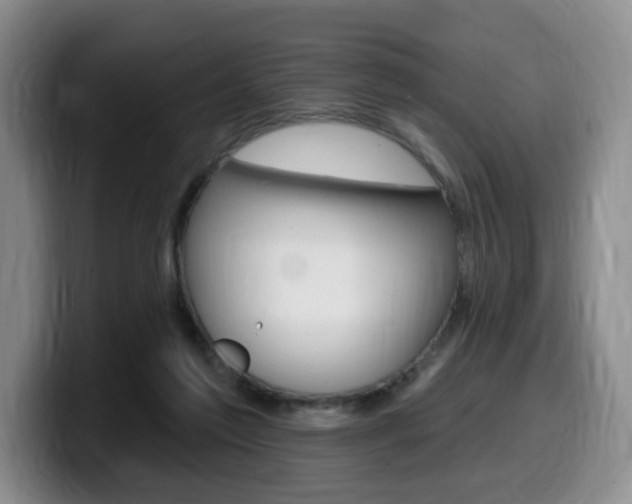 X0000099450213200805090734