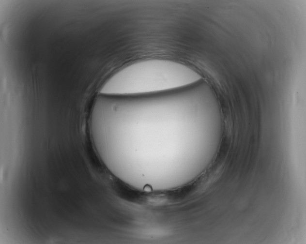 X0000099450214200805090734