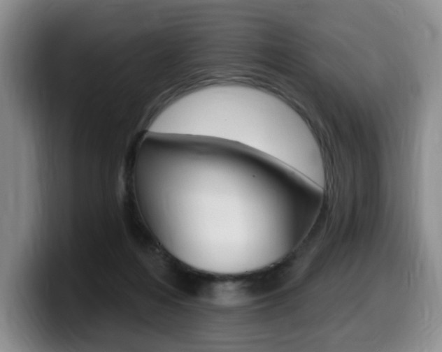 X0000099450216200805090734