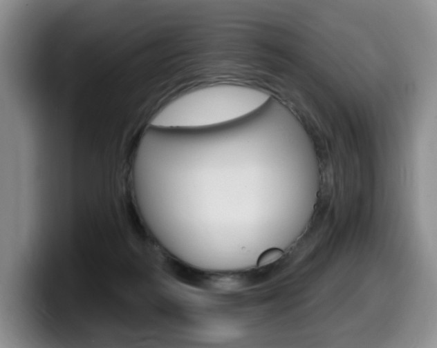 X0000099450218200805090734