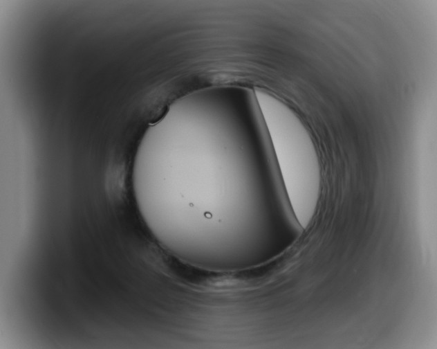 X0000099450219200805090734
