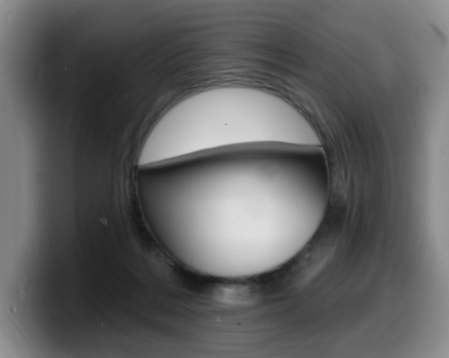 X0000099450220200805090734