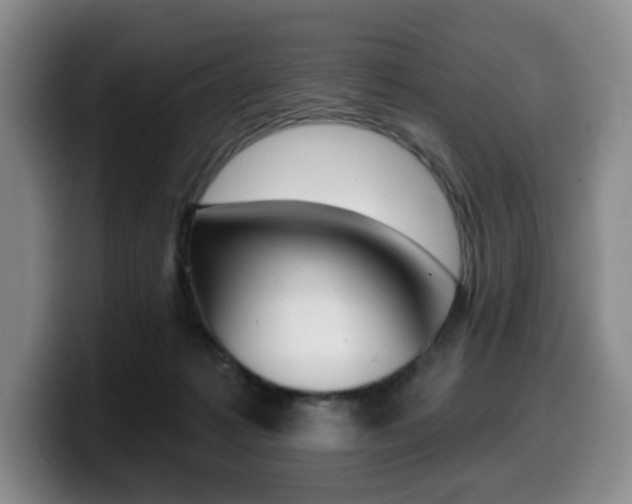 X0000099450221200805090734
