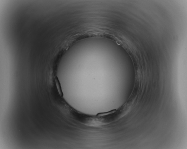 X0000099450223200805090734